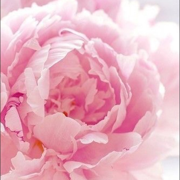 Meet your Posher, Cindi💖Brand New Authentic Sets - Picture 6 of 12